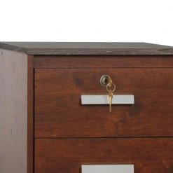Kenneth Cherry and Gray Oak File Cabinet by SAINT BIRCH 13 Kenneth Cherry and Gray Oak File Cabinet by SAINT BIRCH -Basicwise Online Shop cherry and gray oak saint birch file cabinets sbsd4325mfcg 1f 1000