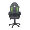 Wilson Green Vegan Leather Gaming Chair by Lifestyle Solutions