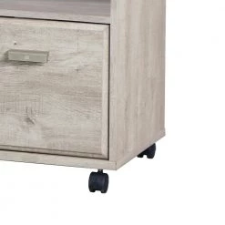 Elma Washed Gray Pedestal File Cabinet by SAINT BIRCH -Basicwise Online Shop washed gray saint birch file cabinets sbel4109mfwg 1f 1000