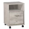Elma Washed Gray Pedestal File Cabinet by SAINT BIRCH
