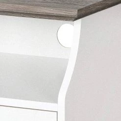 2-Door Finley 31.5 in. White Gray Oak Vertical File Cabinet by SAINT BIRCH -Basicwise Online Shop white gray oak saint birch accent cabinets sbfl4225sgwg c3 1000