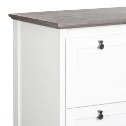 Finley White/Gray Oak 2-Drawer Lateral File Cabinet by SAINT BIRCH -Basicwise Online Shop white gray oak saint birch file cabinets sbfl4025lfwg 4f 1000