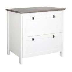 Finley White/Gray Oak 2-Drawer Lateral File Cabinet by SAINT BIRCH
